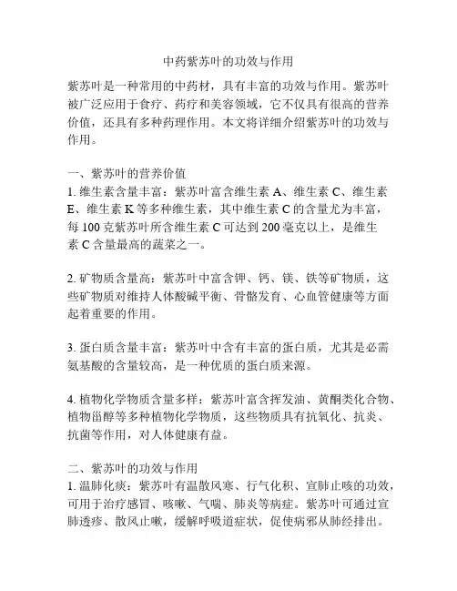 中药紫苏叶的功效与作用
