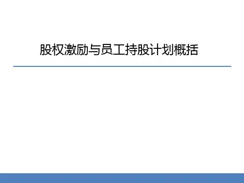 股权激励及员工持股计划概况 41P