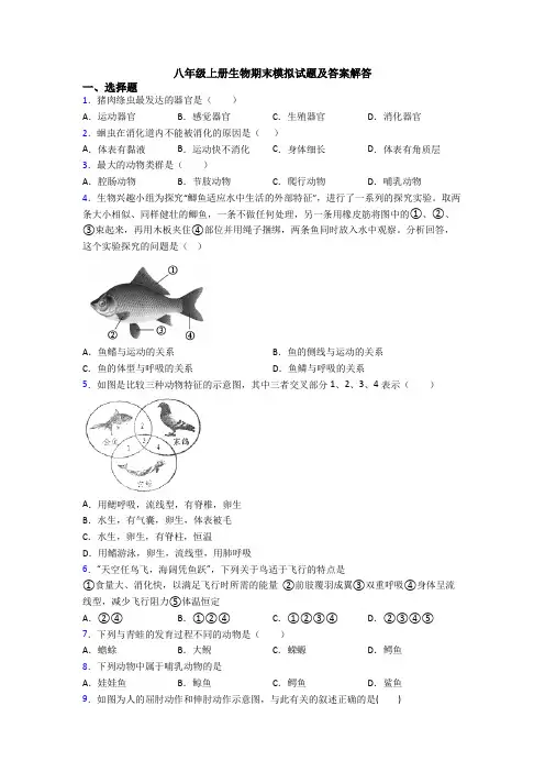 八年级上册生物期末模拟试题及答案解答