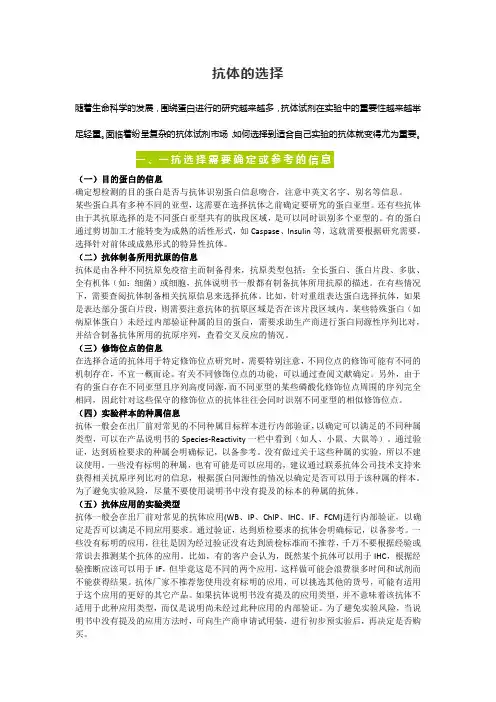 抗体的选择——精选推荐