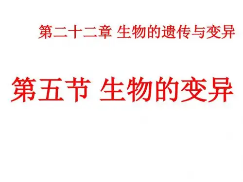 《生物的变异》课件