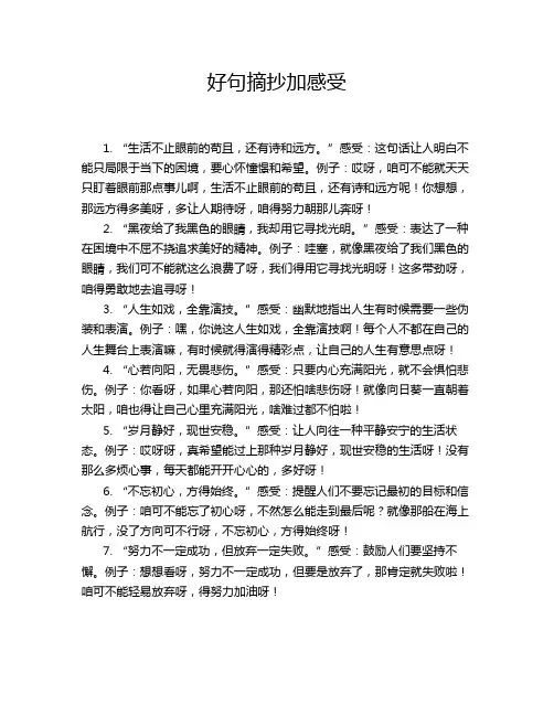 好句摘抄加感受