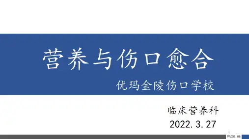 营养与伤口愈合 优玛金陵伤口学校