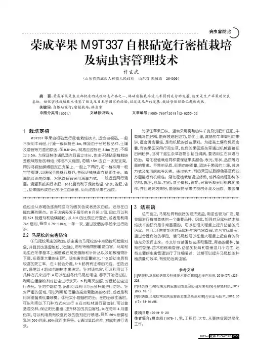 荣成苹果M9T337自根砧宽行密植栽培及病虫害管理技术
