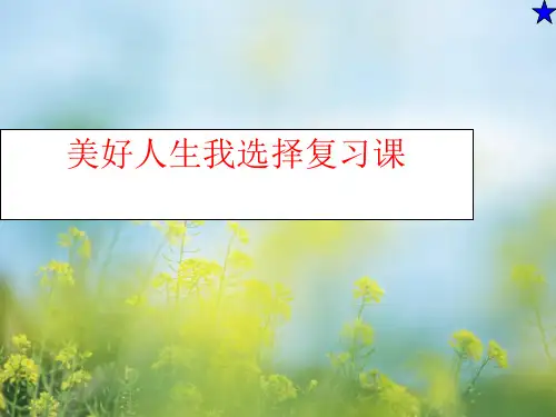 美好人生我选择PPT教学课件