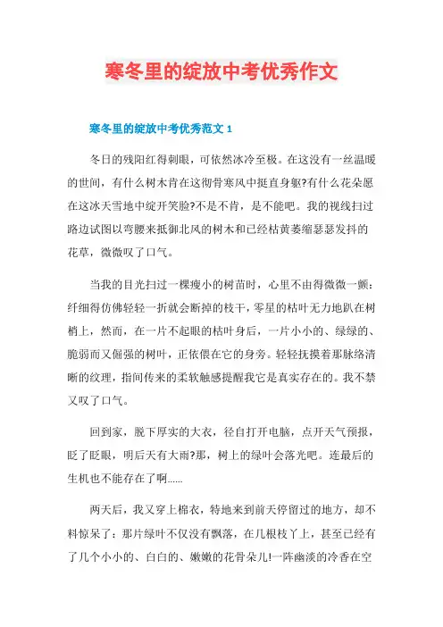 寒冬里的绽放中考优秀作文