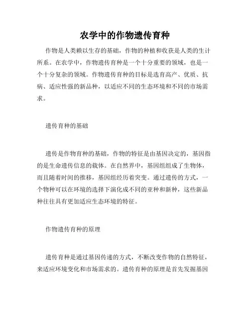 农学中的作物遗传育种