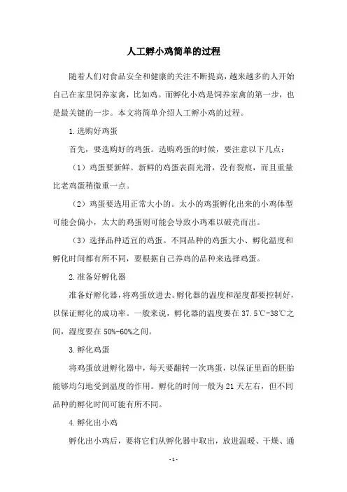 人工孵小鸡简单的过程