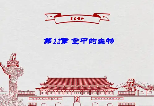 苏科版生物七年级下册课件：第12章 空中的生物 复习 课件