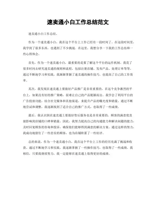 速卖通小白工作总结范文