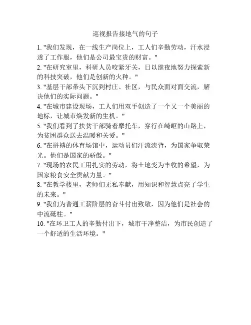 巡视报告接地气的句子