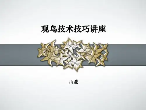 观鸟技术技巧