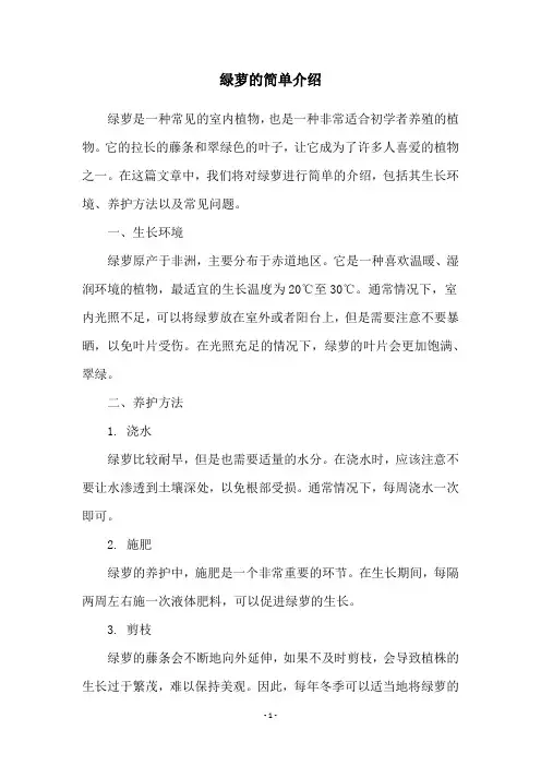 绿萝的简单介绍