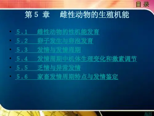 雌性动物的生殖机能