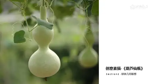 创意素描球体—《葫芦仙瓶》—美术课件