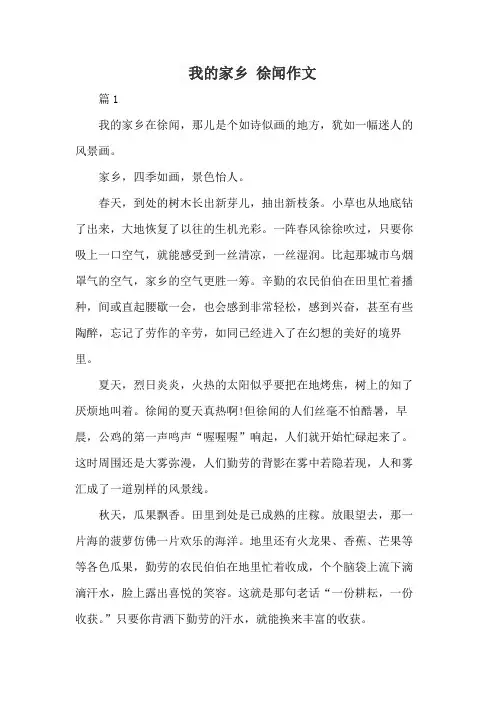 我的家乡 徐闻作文