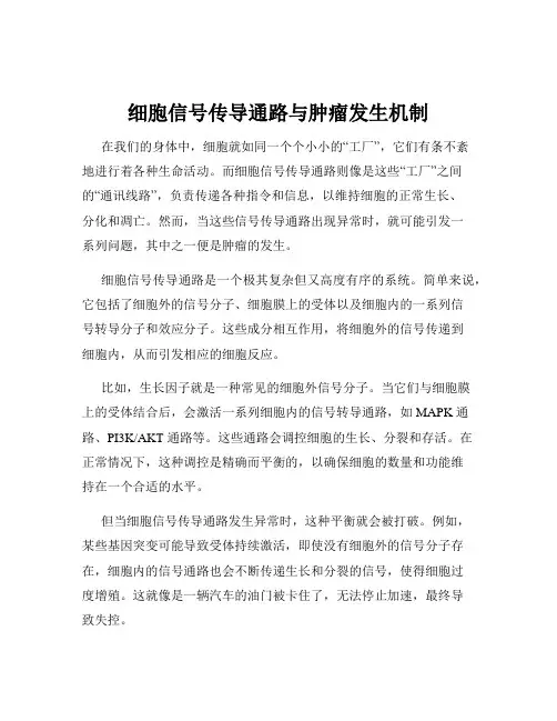 细胞信号传导通路与肿瘤发生机制