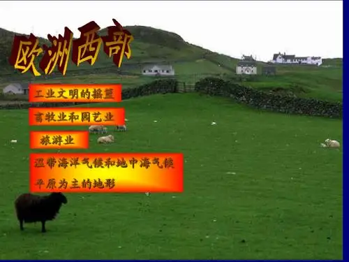 地理《欧洲西部》ppt课件上课