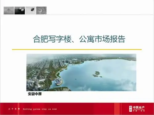 中原2013年合肥写字楼、公寓市场报告