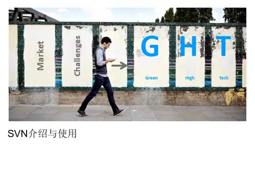 SVN介绍与使用PPT课件