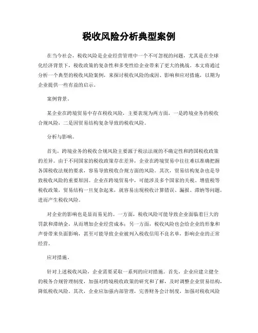 税收风险分析典型案例