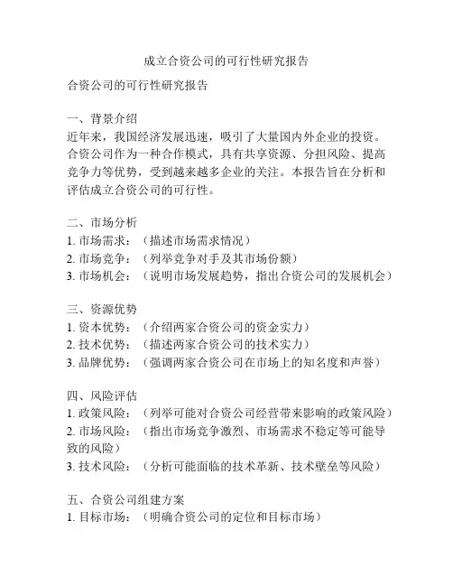 成立合资公司的可行性研究报告