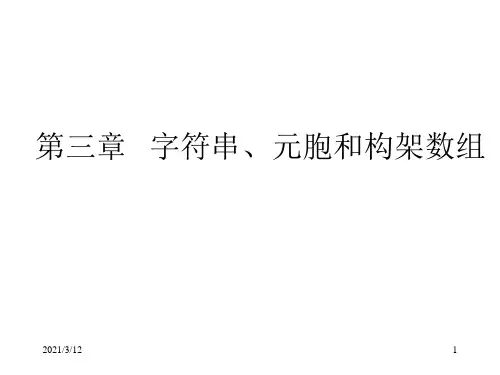 第三章---字符串、元胞和构架数组PPT课件
