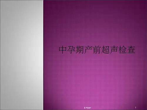 中孕期产前超声检查