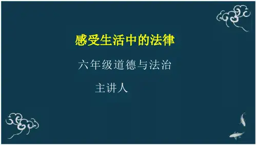 六年级上册道德与法治课件 感受生活中的法律