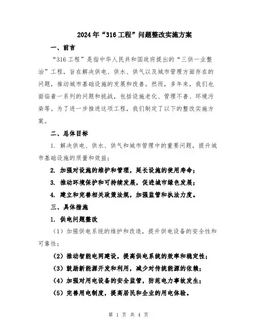 2024年“316工程”问题整改实施方案