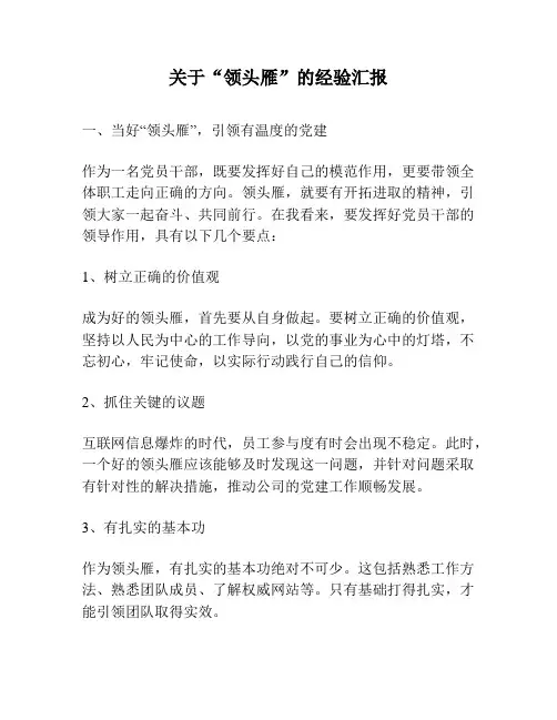 关于“领头雁”的经验汇报