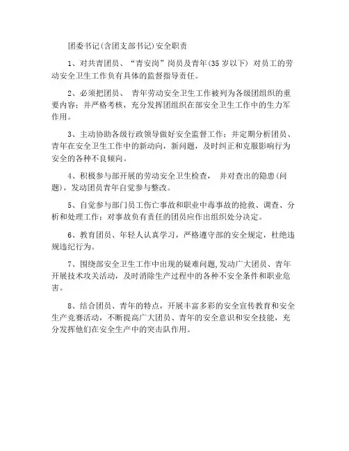 团委书记(含团支部书记)安全职责