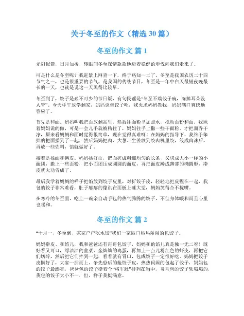 关于冬至的作文(精选30篇)