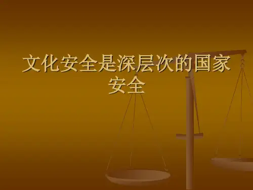 国家文化与安全