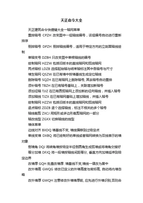 天正命令大全