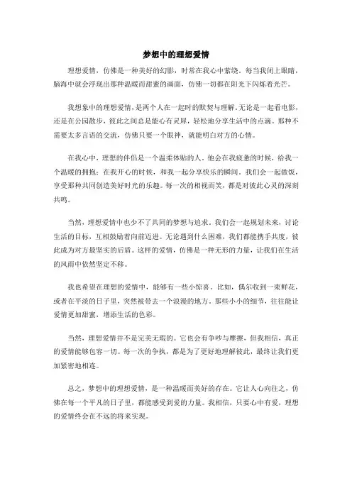 梦想中的理想爱情