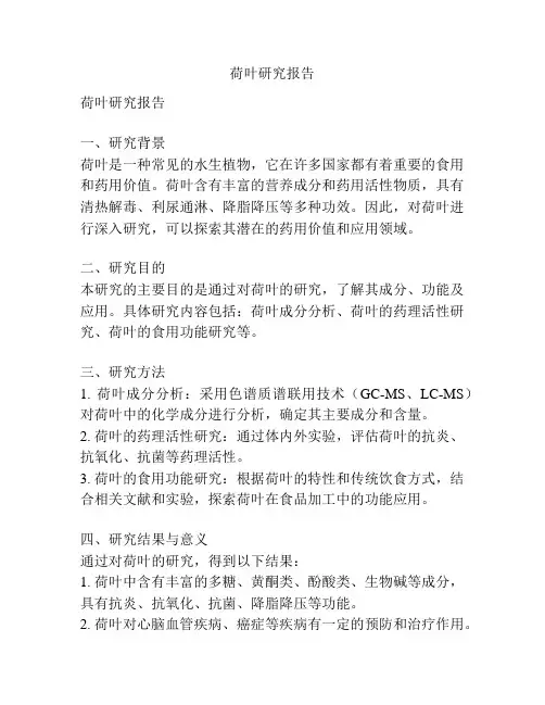 荷叶研究报告