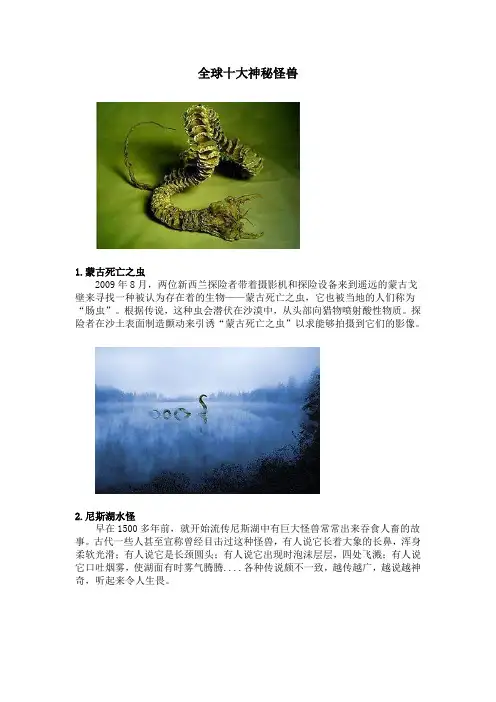 全球十大神秘怪兽