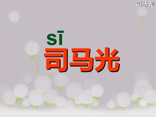 (部编版)小学语文三年级上《司马光》ppt课件