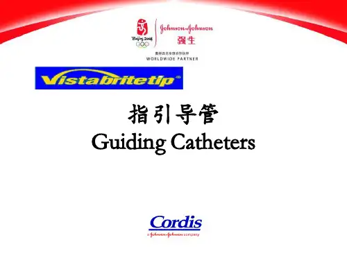 3_Guiding catheter