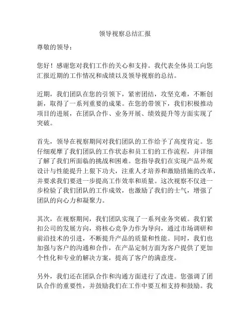 领导视察总结汇报