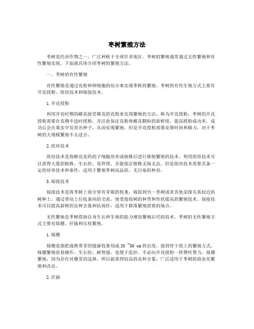 枣树繁殖方法