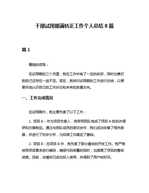 干部试用期满转正工作个人总结8篇