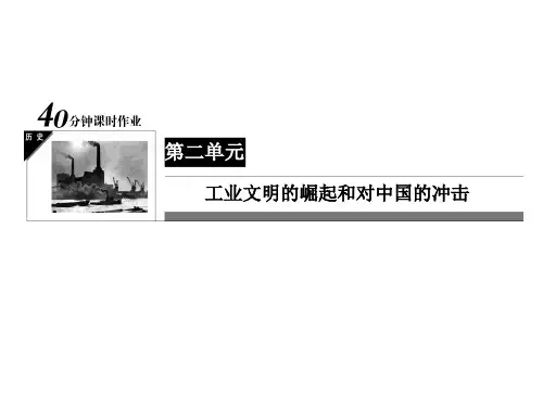 岳麓版历史必修二：2-8《欧洲的殖民扩张与掠夺》ppt课件