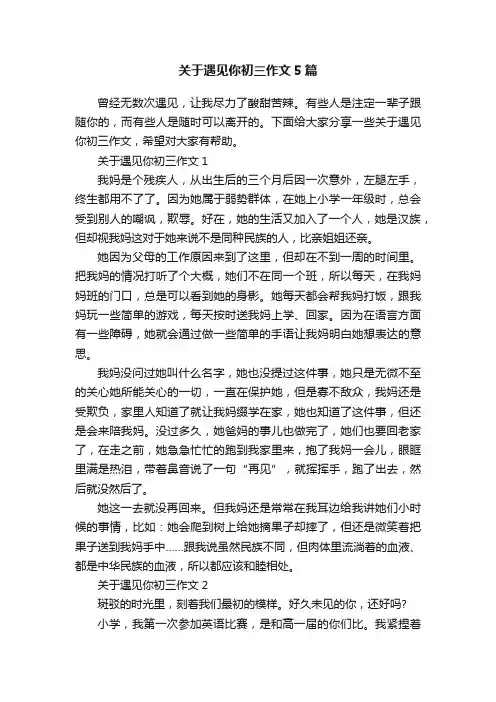 关于遇见你初三作文5篇