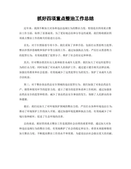 抓好四项重点整治工作总结