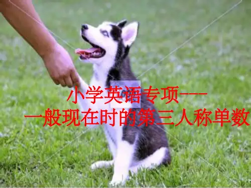 小学英语第三人称单数专讲ppt课件
