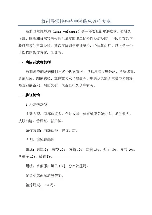 粉刺寻常性痤疮中医临床诊疗方案