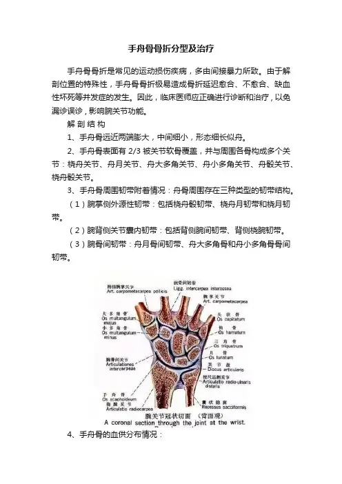 手舟骨骨折分型及治疗