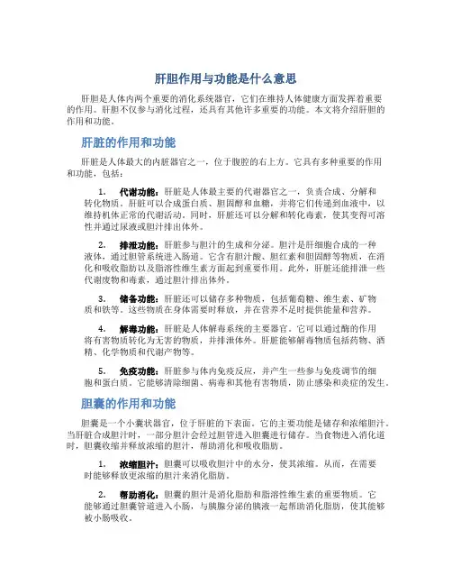肝胆作用与功能是什么意思